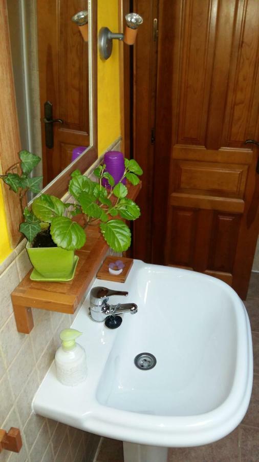 Bed and Breakfast Casa Rural Calle Real Torremocha de Ayllón Zewnętrze zdjęcie